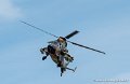 tigre-g91_7323