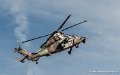 tigre-g91_7327