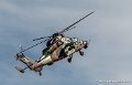 tigre-g91_7328
