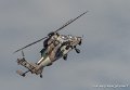 tigre-g91_7329