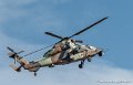 tigre-g91_7330