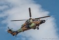 tigre-g91_7331
