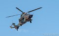tigre-g91_7332