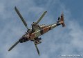tigre-g91_7334