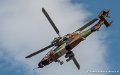 tigre-g91_7335