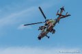 tigre-g91_7336