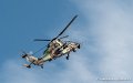 tigre-g91_7340