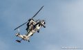 tigre-g91_7341