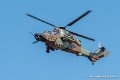 tigre-g91_7345