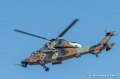 tigre-g91_7346