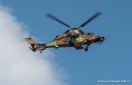 tigre-g91_7350