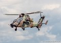 tigre-g93_2911