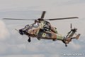 tigre-g93_2912