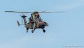 tigre-g93_2920