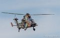 tigre-g93_2922