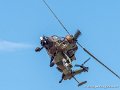 tigre-g93_2930