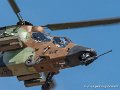 tigre-g93_2932