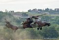tigre-g93_3484