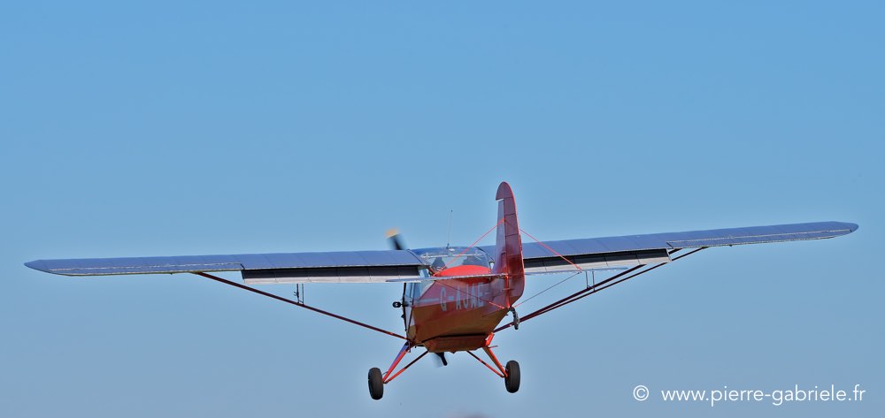 piper_4956.jpg