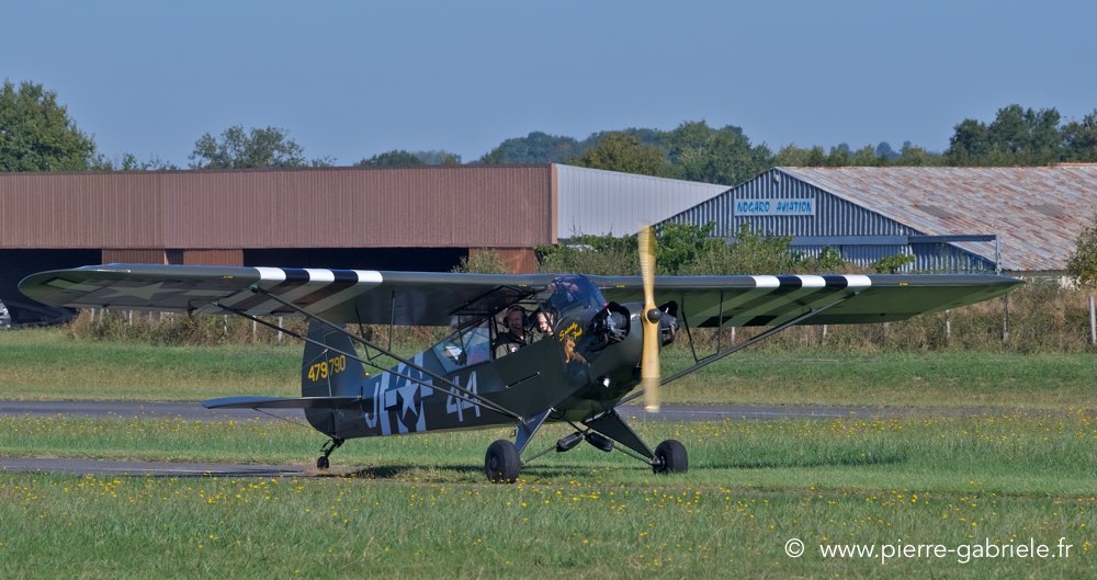 piper_4957.jpg