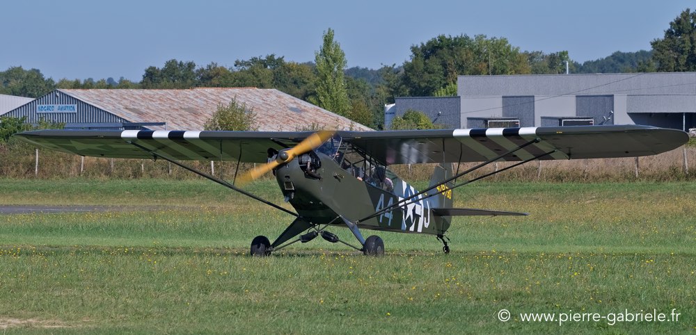 piper_4958.jpg