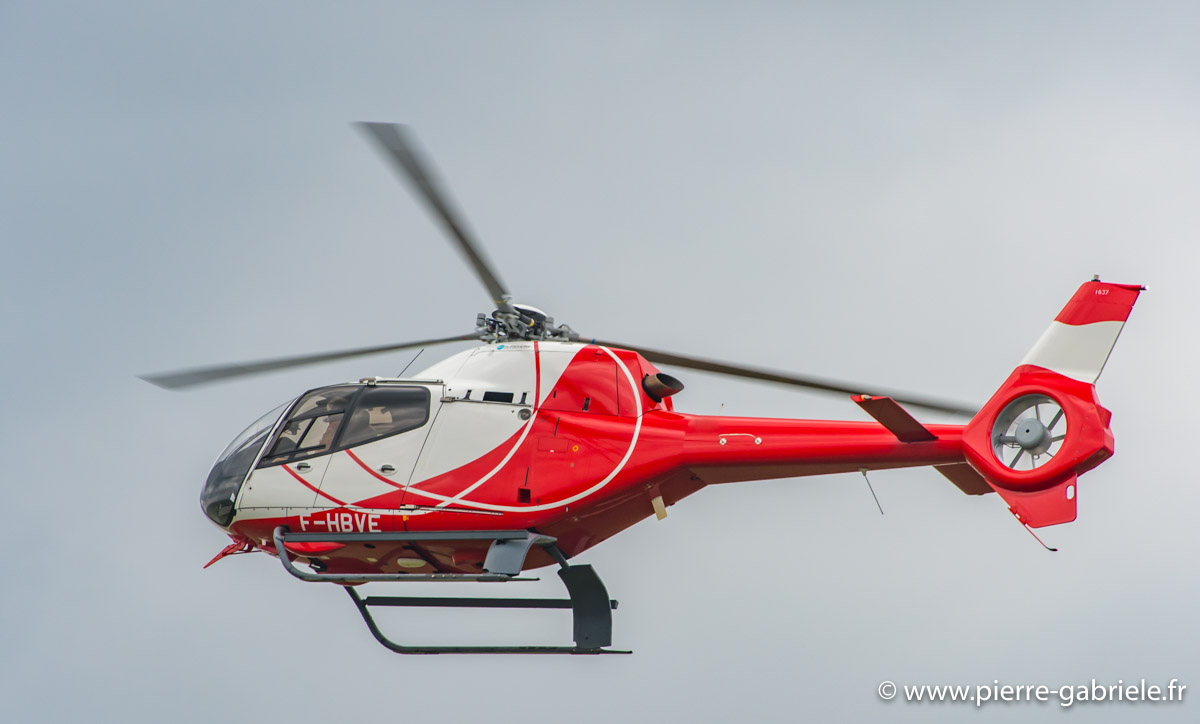 colibri_5549.jpg