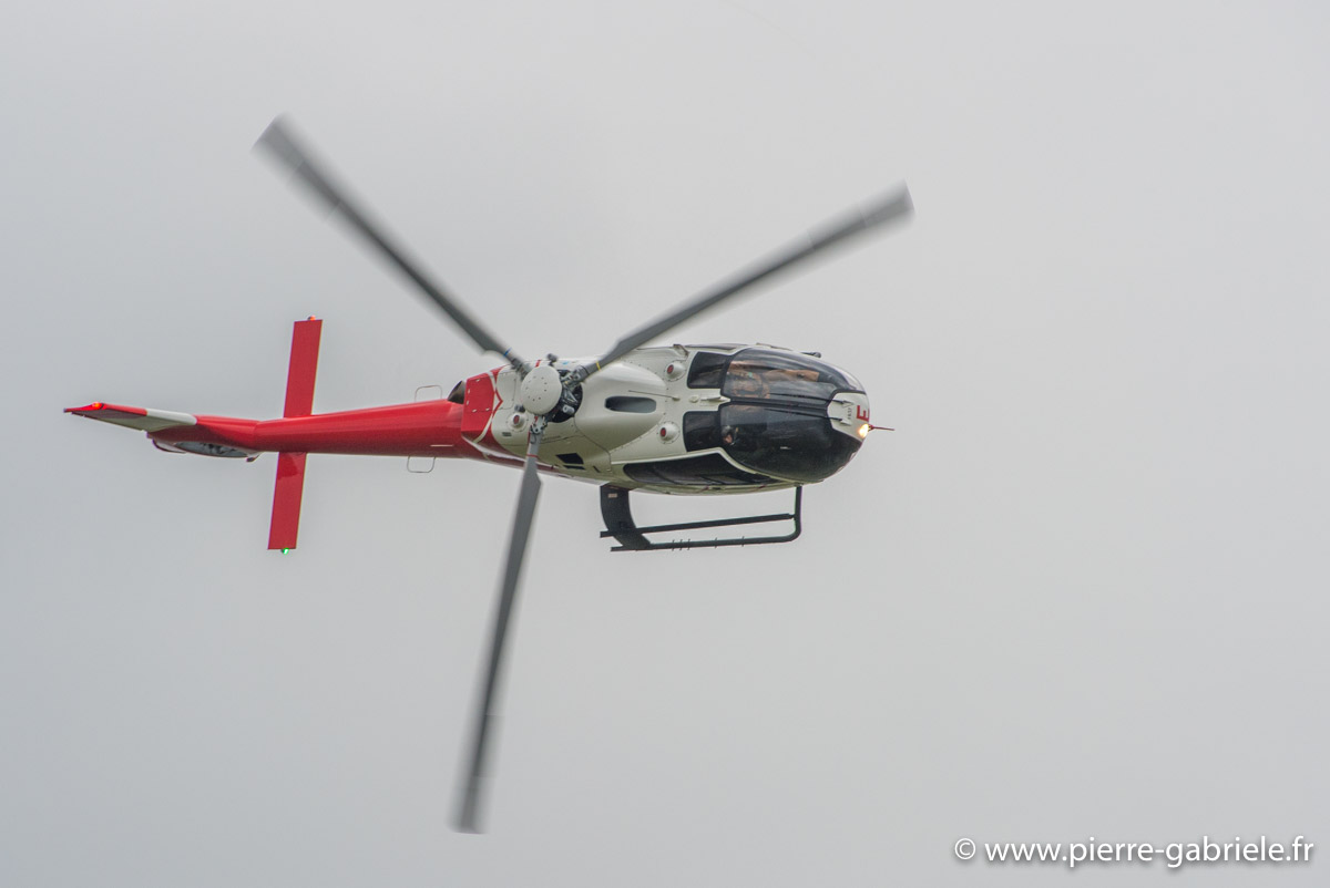 colibri_5557.jpg