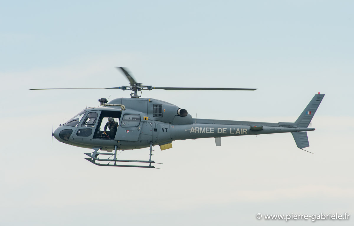 fennec_5815.jpg