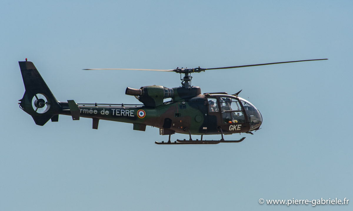 gazelle_5275.jpg