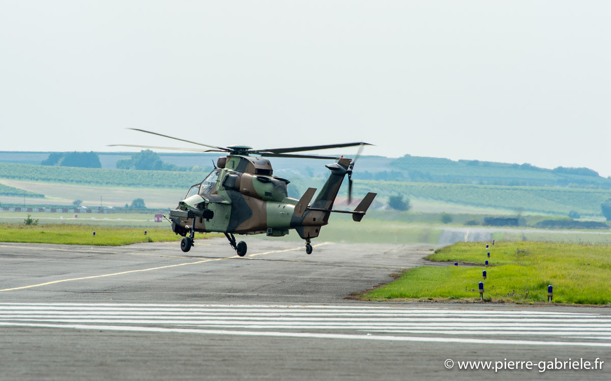 tigre_5294.jpg