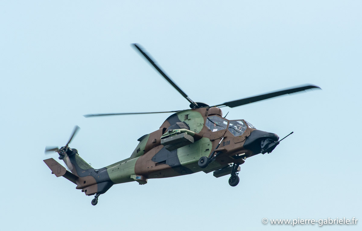 tigre_5997.jpg