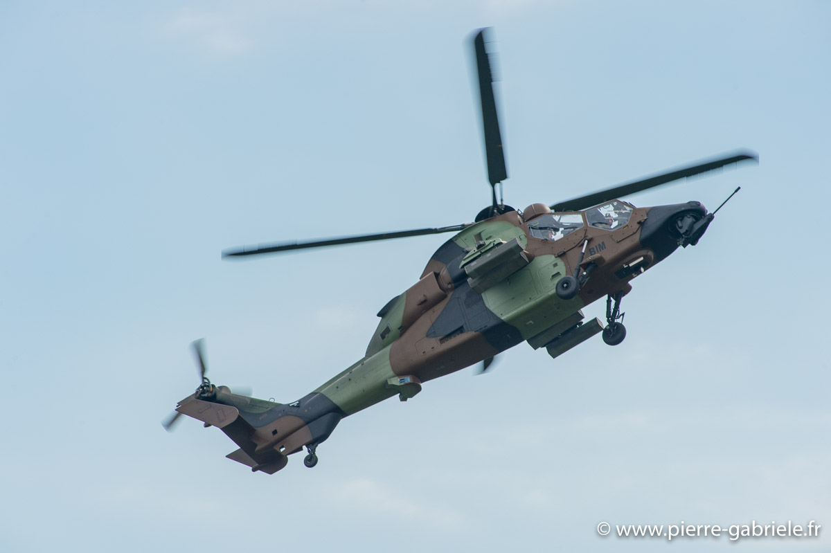 tigre_5998.jpg