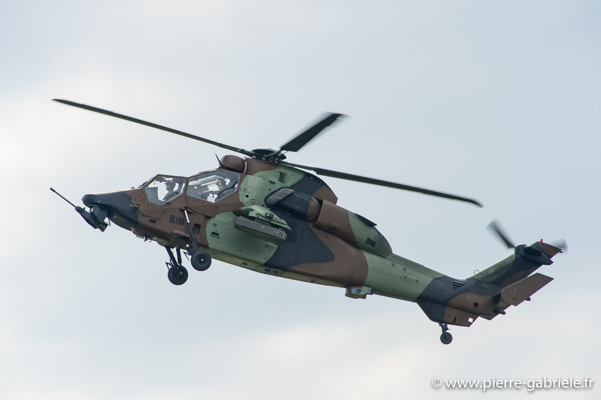 tigre_5999.jpg
