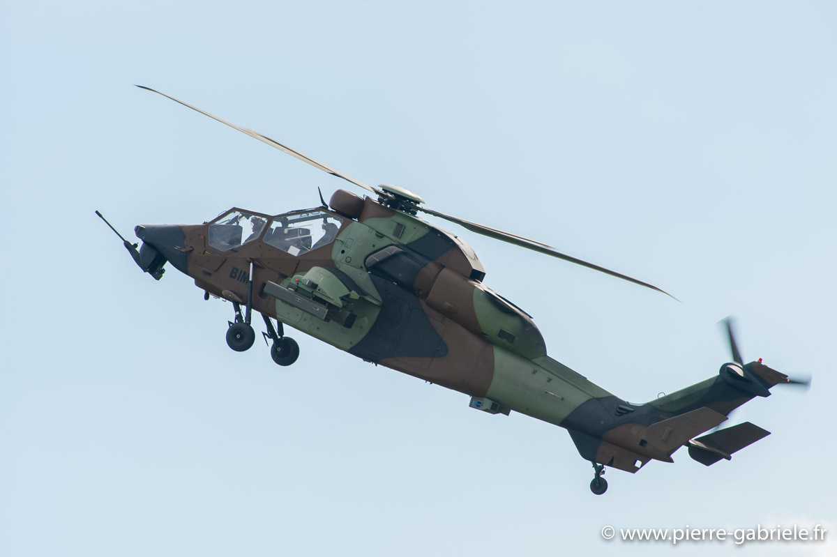 tigre_6000.jpg