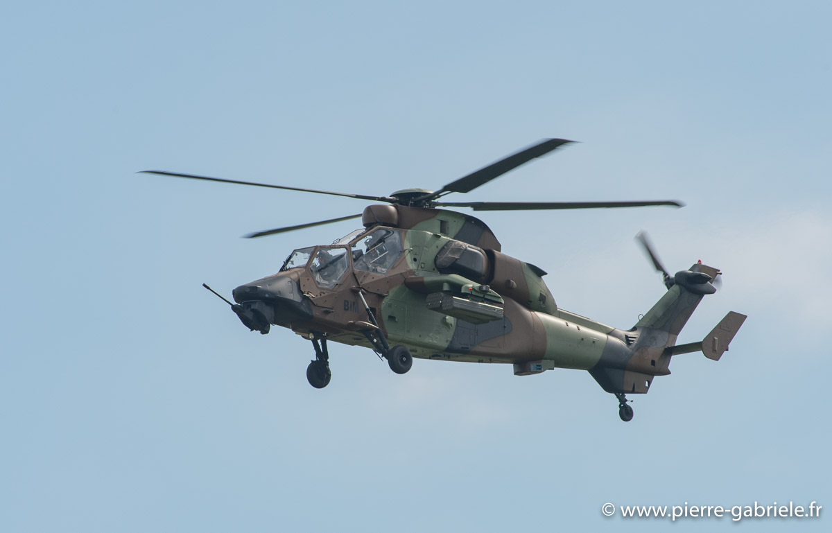 tigre_6002.jpg