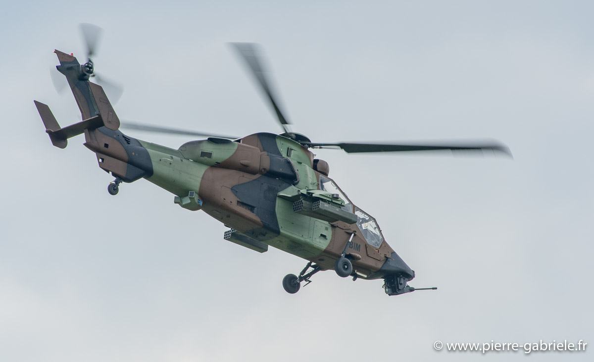 tigre_6004.jpg