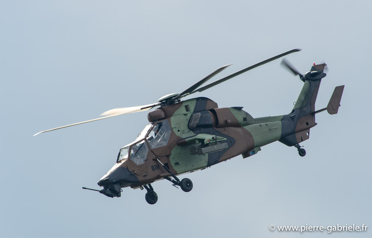 tigre_6006.jpg