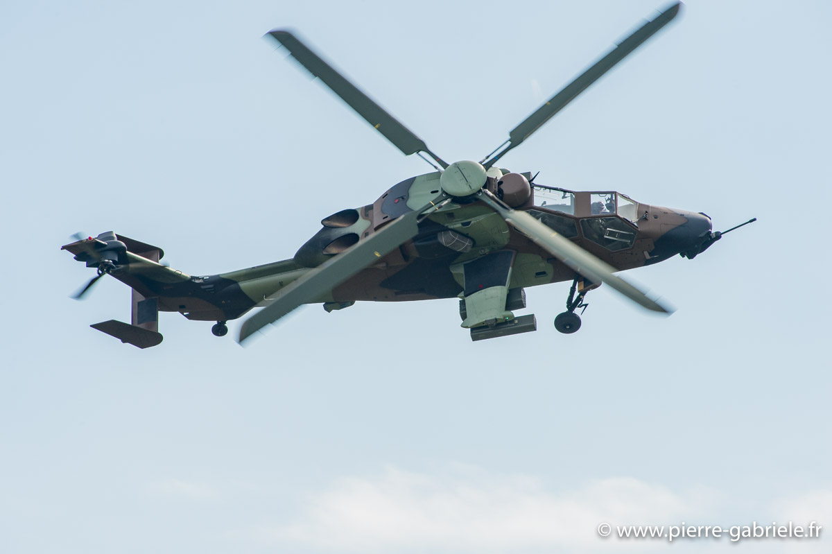tigre_6012.jpg