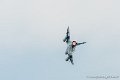 mirage-2000_6115