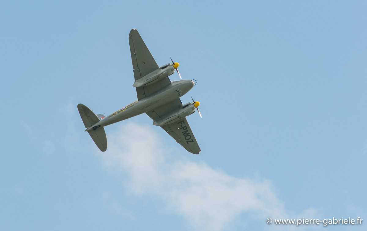 mosquito_6294.jpg