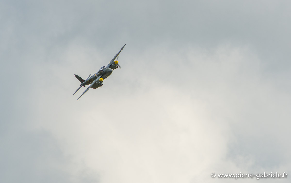 mosquito_6299.jpg