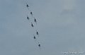 paf_5418
