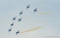 paf_5421