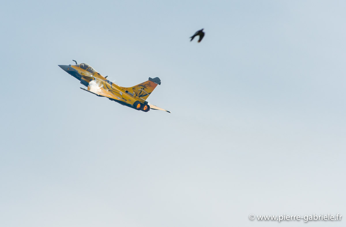 rafale_5186.jpg