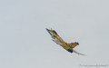 rafale_4925