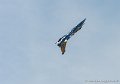 rafale_5168