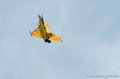 rafale_5257