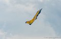 rafale_6167