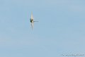 rafale_6210