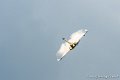 rafale_6266